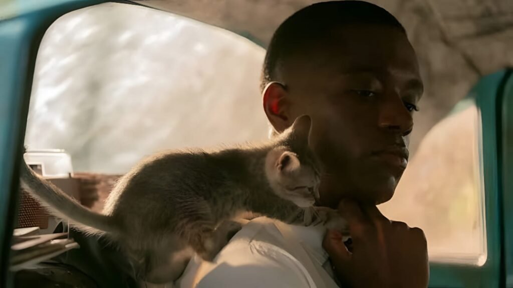 Dylan T Jackson - M.I.A.